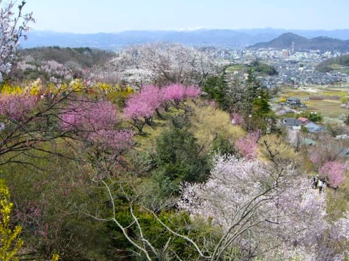 Fukushima's Watari district in the spring. Beautiful...but is it safe to life here? 